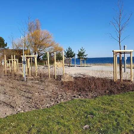 Sanddorn Haus Sanddorn - Whg 13 Großenbrode